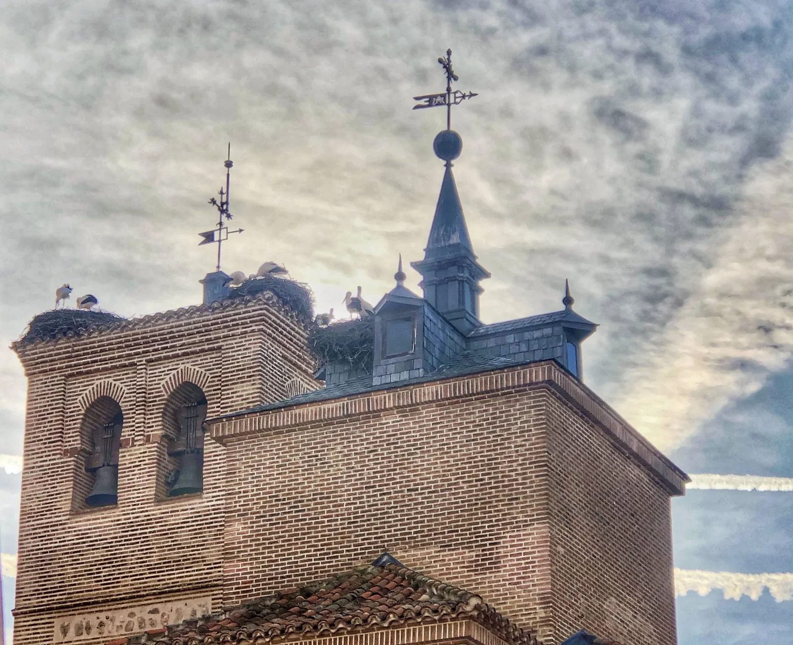 Cigüeñas blancas en su nido sobre el campanario de una iglesia
