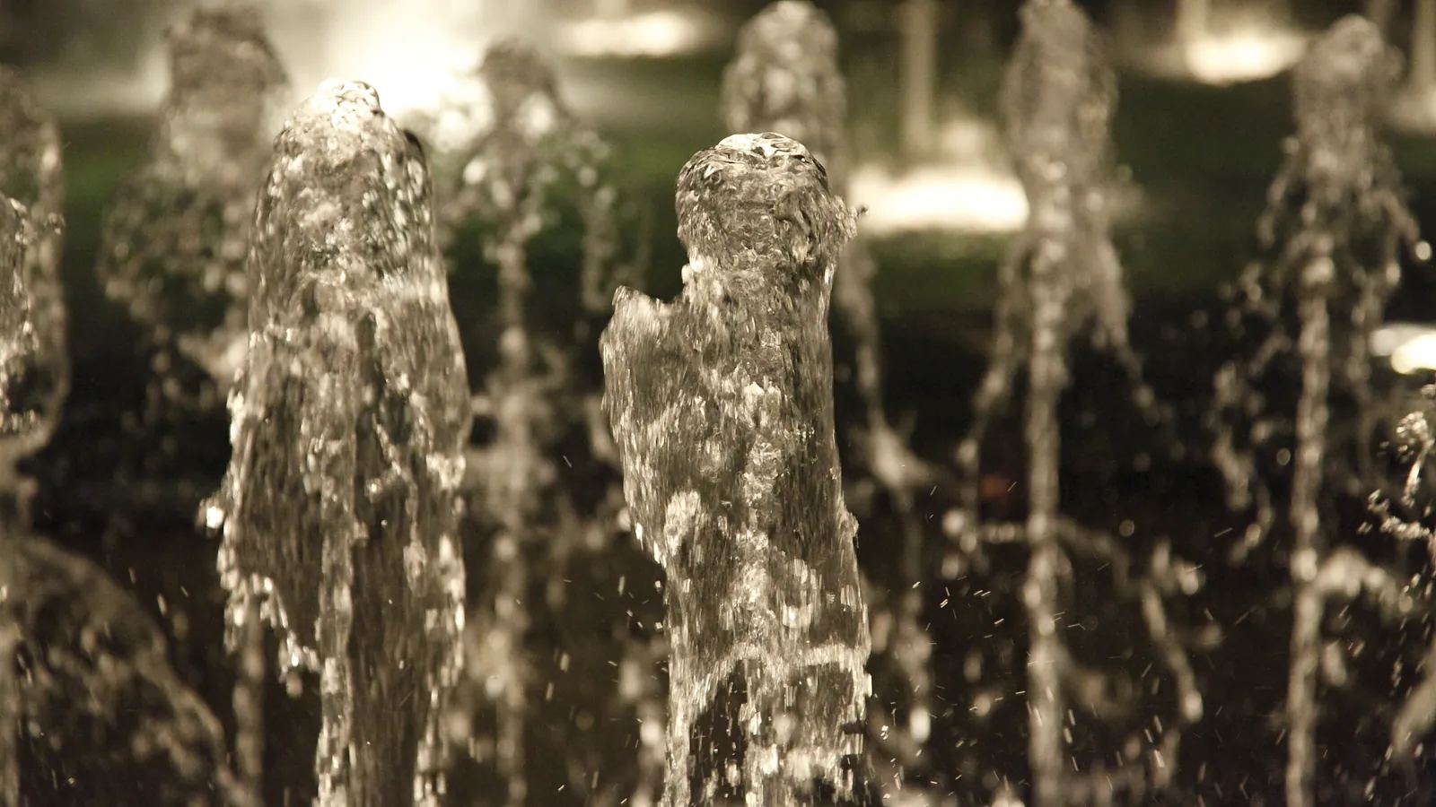 Chorros de agua de una fuente iluminados en la noche