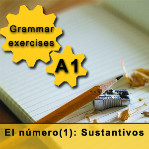 exercise for the singular and plural nouns in Spanish