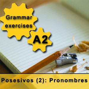 possessive pronouns in Spanish Grammar exercise Spanish pronombres posesivos